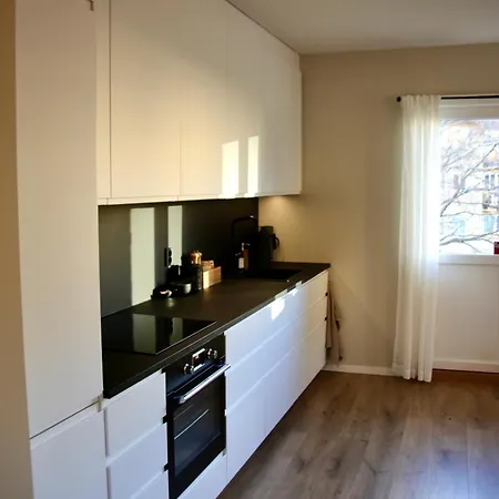 Stilfull Oslo Leilighet Med Balkong Naer Kollektivtransport